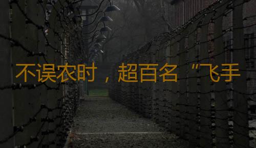 不误农时,超百名“飞手”奔赴雷州田间地头进行飞防作业