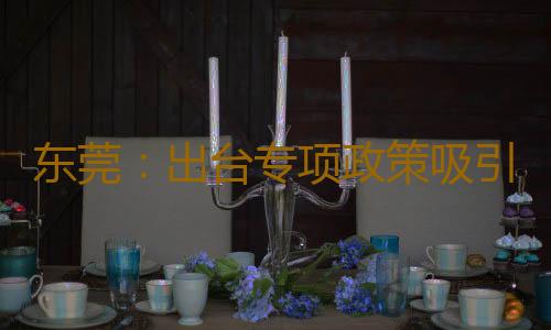 东莞:出台专项政策吸引台胞来发展 生活保障持续优化