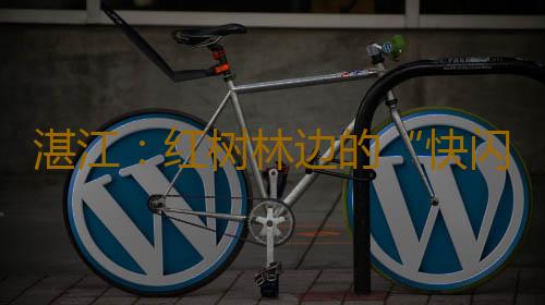 湛江:红树林边的“快闪”,“鲜美湛江”祝福祖国